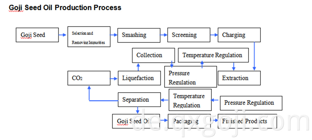 Prodtction Process Of Goji Seed Oil